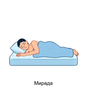 Купить Мирада - MKS-SIST-16573 из реестра по лучшей цене