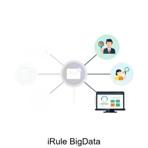 Купить iRule BigData - MKS-INST-16663 из реестра по лучшей цене