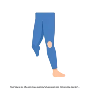 Купить Программное обеспечение для мультисенсорного тренажера реабилитации пациентов с нарушениями двигательных функций нижних конечностей ReviVR - ARPP-25480 из реестра по лучшей цене