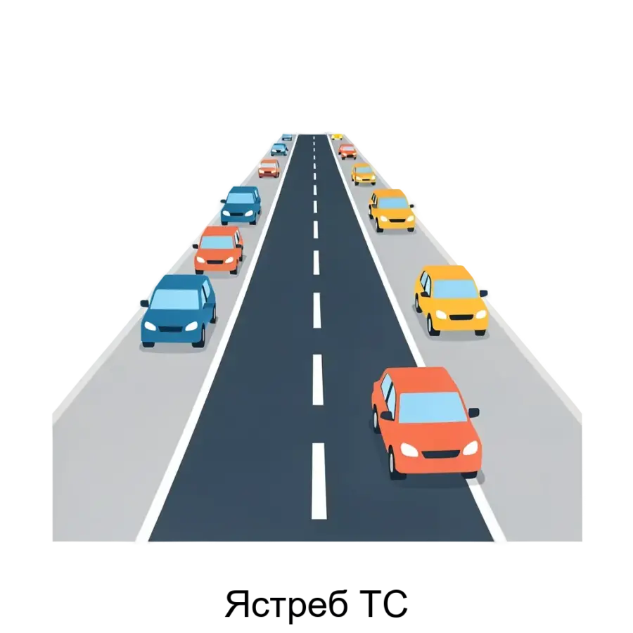Программа для ЭВМ «Ястреб ТС» (далее – ПО, Программа) предназначена для обнаружения ТС и определения характеристик их движения в контролируемых зонах дорожной сети в составе детектора автотранспорта «Ястреб.