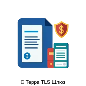 Купить С Терра TLS Шлюз - ARPP-25638 из реестра по лучшей цене