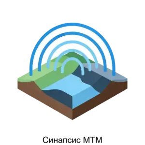 Купить Синапсис МТМ - ARPP-24948 из реестра по лучшей цене