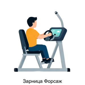 Купить Зарница Форсаж - ARPP-24256 из реестра по лучшей цене