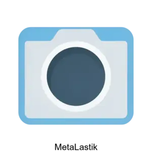 Купить MetaLastik - ARPP-24799 из реестра по лучшей цене