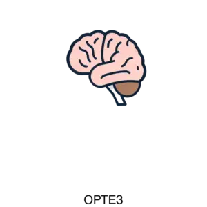 Купить ОРТЕЗ - ARPP-25287 из реестра по лучшей цене