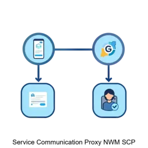Купить Service Communication Proxy NWM SCP - ARPP-24958 из реестра по лучшей цене