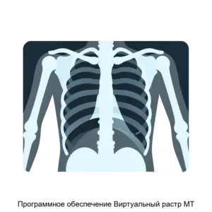 Купить Программное обеспечение Виртуальный растр МТ - ARPP-24056 из реестра по лучшей цене