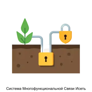 Купить Система Многофункциональной Связи Исеть - ARPP-25828 из реестра по лучшей цене