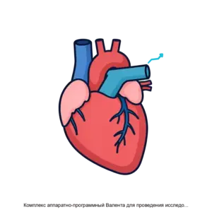 Купить Комплекс аппаратно-программный Валента для проведения исследований функциональной диагностики. Программный модуль Электрокардиография (ЭКГ) - MKS-NEO-17091 из реестра по лучшей цене