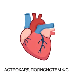 Купить АСТРОКАРД ПОЛИСИСТЕМ ФС - ARPP-26520 из реестра по лучшей цене