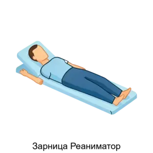 Купить Зарница Реаниматор - ARPP-25880 из реестра по лучшей цене