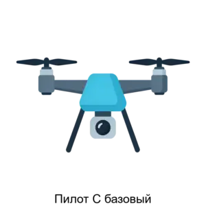 Купить Пилот С базовый - ARPP-27234 из реестра по лучшей цене