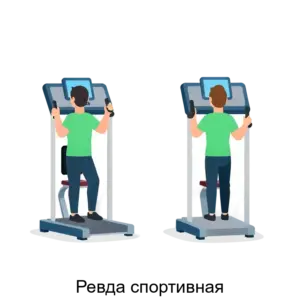 Купить Ревда спортивная - ARPP-27315 из реестра по лучшей цене