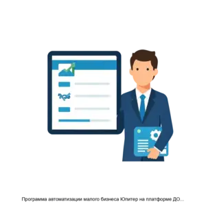 Купить Программа автоматизации малого бизнеса Юпитер на платформе ДОМИНО 8 - ARPP-13000 из реестра по лучшей цене