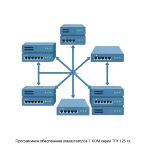 Купить Программное обеспечение коммутаторов Т КОМ серии ТГК 125 хх - ARPP-14239 из реестра по лучшей цене