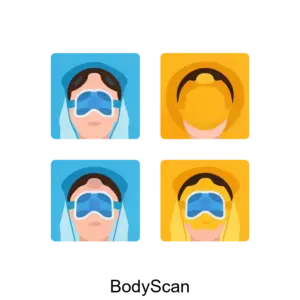 Купить BodyScan - ARPP-15235 из реестра по лучшей цене