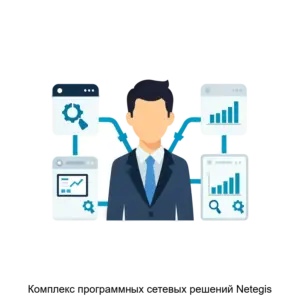 Купить Комплекс программных сетевых решений Netegis - ARPP-15730 из реестра по лучшей цене
