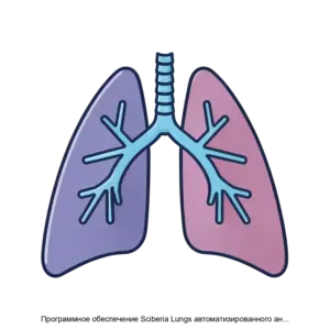 Купить Программное обеспечение Sсiberia Lungs автоматизированного анализа медицинских изображений компьютерной томографии области легких - ARPP-17615 из реестра по лучшей цене