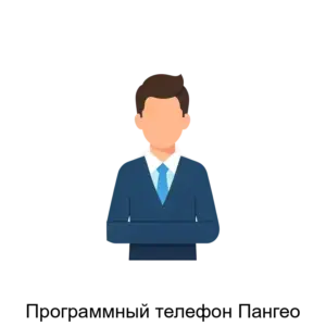 Купить Программный телефон Пангео - MKS-PANG-17283 из реестра по лучшей цене