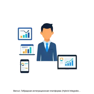 Купить Bercut, Гибридная интеграционная платформа (Hybrid Integration Platform) - MKS-NAUC-17290 из реестра по лучшей цене