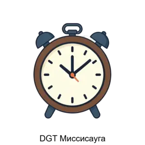 Купить DGT Миссисауга - MKS-DIDZ-17973 из реестра по лучшей цене