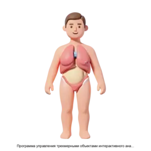 Купить Программа управления трехмерными объектами интерактивного анатомического атласа - MKS-RAZV-18478 из реестра по лучшей цене