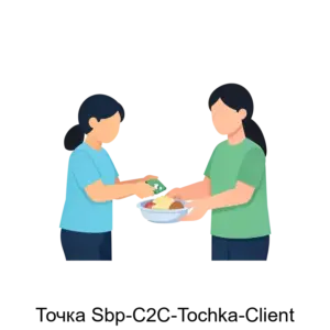 Купить Точка Sbp-С2С-Tochka-Client - MKS-AOTO-18719 из реестра по лучшей цене