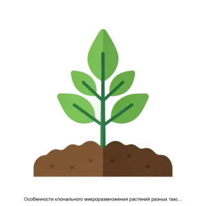 Купить Особенности клонального микроразмножения растений разных таксономических групп - MKS-AKAD-19222 из реестра по лучшей цене