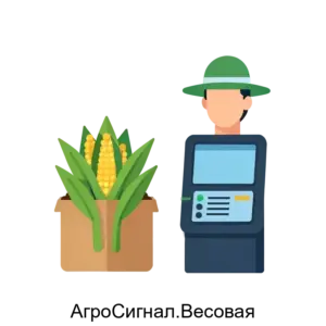 Купить АгроСигнал.Весовая - MKS-INFO-19334 из реестра по лучшей цене
