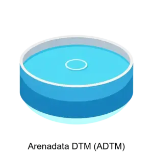 Купить Arenadata DTM (ADTM) - MKS-AREN-19726 из реестра по лучшей цене
