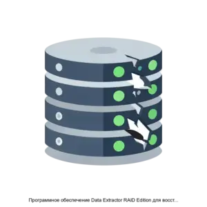 Купить Программное обеспечение Data Extractor RAID Edition для восстановления данных с накопителей - MKS-NAUC-19882 из реестра по лучшей цене