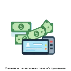 Купить Валютное расчетно-кассовое обслуживание - MKS-BANK-20370 из реестра по лучшей цене