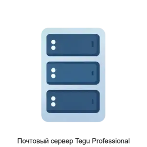 Купить Почтовый сервер Tegu Professional - MKS-MBKL-20494 из реестра по лучшей цене