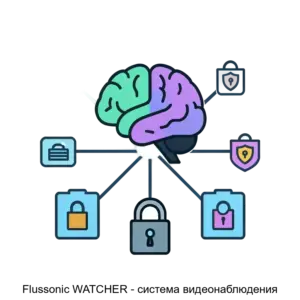 Купить Flussonic WATCHER - система видеонаблюдения - MKS-ERLI-20812 из реестра по лучшей цене