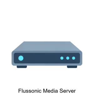 Купить Flussonic Media Server - MKS-ERLI-20813 из реестра по лучшей цене