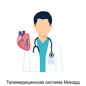 Купить Телемедицинская система Микард - MKS-MIKA-20837 из реестра по лучшей цене