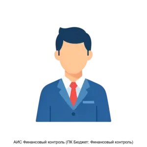 Купить АИС Финансовый контроль (ПК Бюджет: Финансовый контроль) - MKS-NPTS-21268 из реестра по лучшей цене