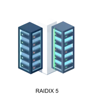 Купить RAIDIX 5 - MKS-REYD-21702 из реестра по лучшей цене