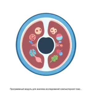 Купить Программный модуль для анализа исследований компьютерной томографии  человека - MKS-PLAT-22293 из реестра по лучшей цене