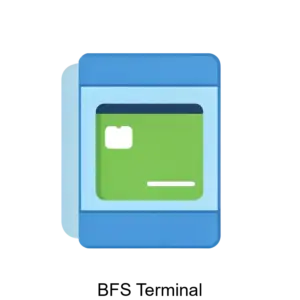 Купить BFS Terminal - MKS-BFSI-22352 из реестра по лучшей цене