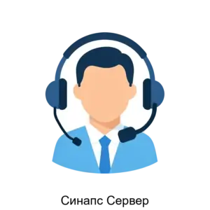 Купить Синапс Сервер - MKS-TRAK-22362 из реестра по лучшей цене