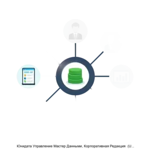 Купить Юнидата Управление Мастер Данными, Корпоративная Редакция  (Unidata MDM EE) - MKS-YUNI-22452 из реестра по лучшей цене