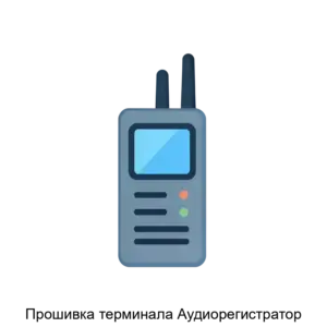 Купить Прошивка терминала Аудиорегистратор - ARPP-28178 из реестра по лучшей цене