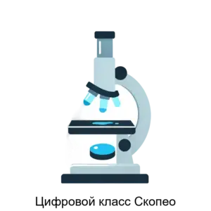 Купить Цифровой класс Скопео - ARPP-30934 из реестра по лучшей цене