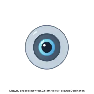 Купить Модуль видеоаналитики Динамический анализ Domination - ARPP-27414 из реестра по лучшей цене