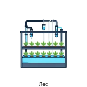 Купить Лес - ARPP-31326 из реестра по лучшей цене