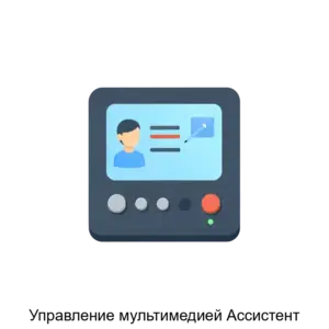 Купить Управление мультимедией Ассистент - ARPP-27996 из реестра по лучшей цене