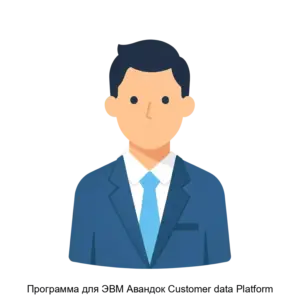 Купить Программа для ЭВМ Авандок Customer data Platform - ARPP-29367 из реестра по лучшей цене