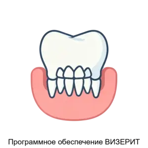 Купить Программное обеспечение ВИЗЕРИТ - ARPP-31197 из реестра по лучшей цене