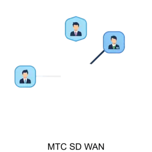 Купить МТС SD WAN - ARPP-28610 из реестра по лучшей цене